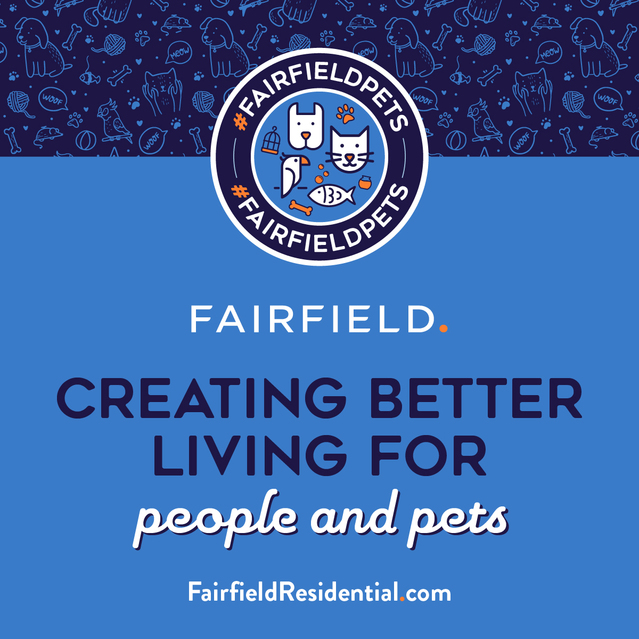 Fairfield pets video
